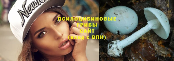 сатива Нефтегорск