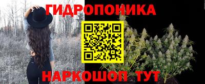 мдпв Краснознаменск