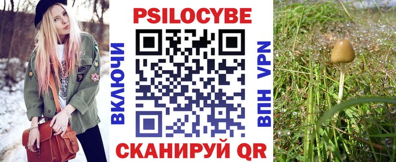 купить  цена  Тула  Псилоцибиновые грибы прущие грибы 