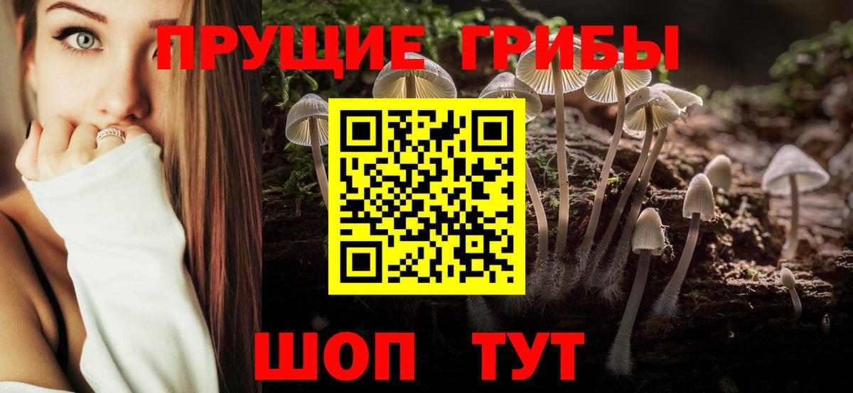 Галлюциногенные грибы Psilocybine cubensis  Вход с VPN  Галлюциногенные грибы Psilocybe  Тула 
